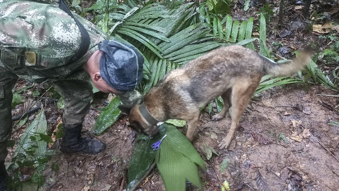 Zřejmě přežily pád letadla a 17 dní v džungli. Kolumbie hledá čtyři malé děti